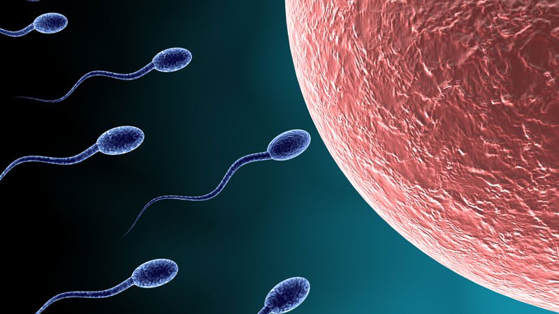 Le sperme suisse est-il de mauvaise qualité ?
